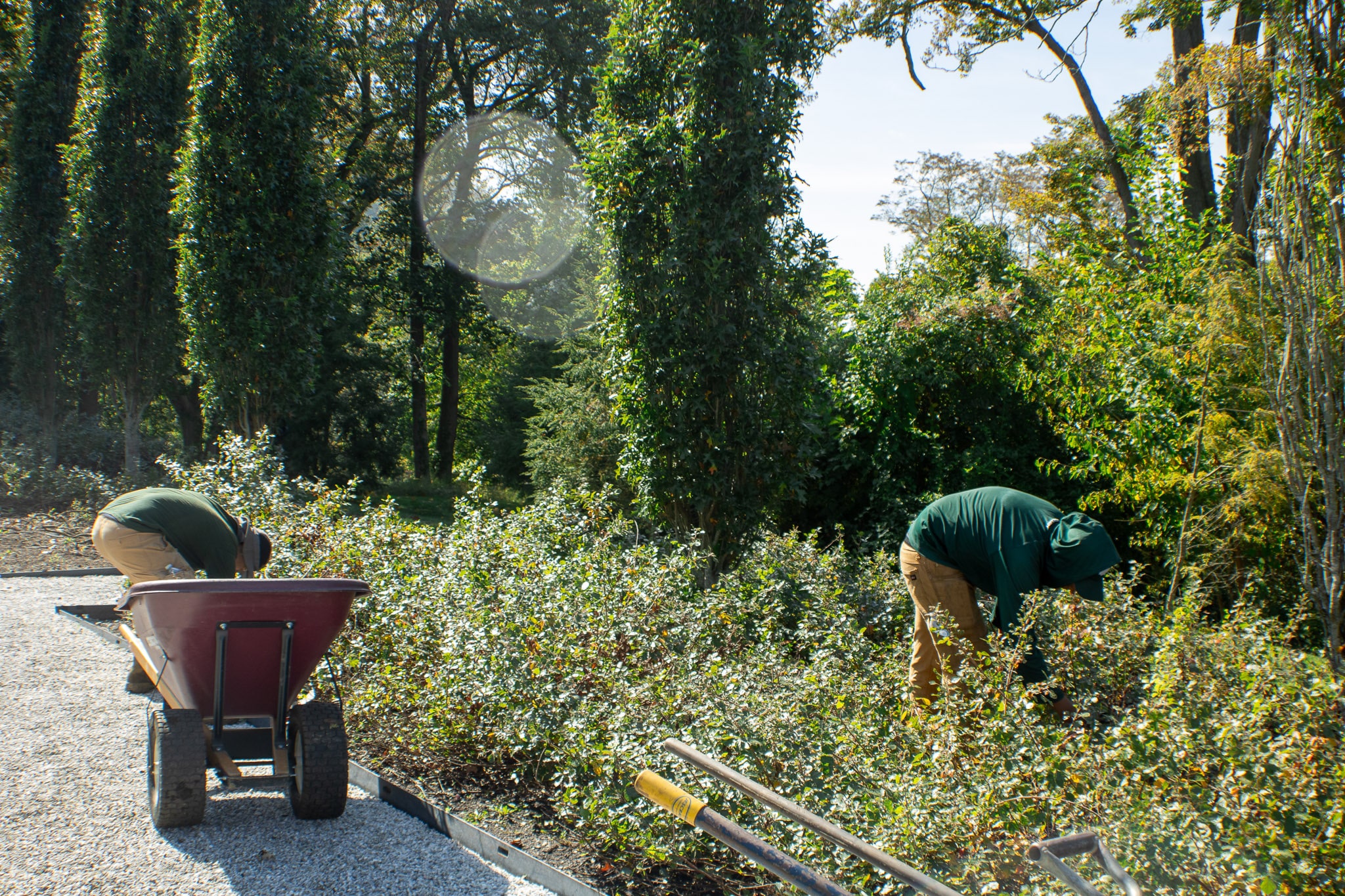 Five Tips for Spring Landscaping